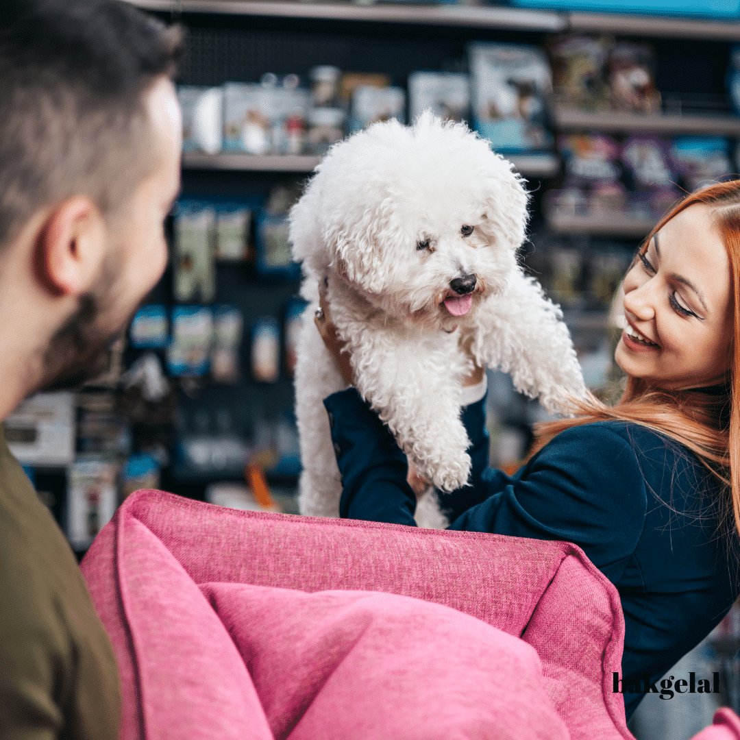 köpek petshop'ta