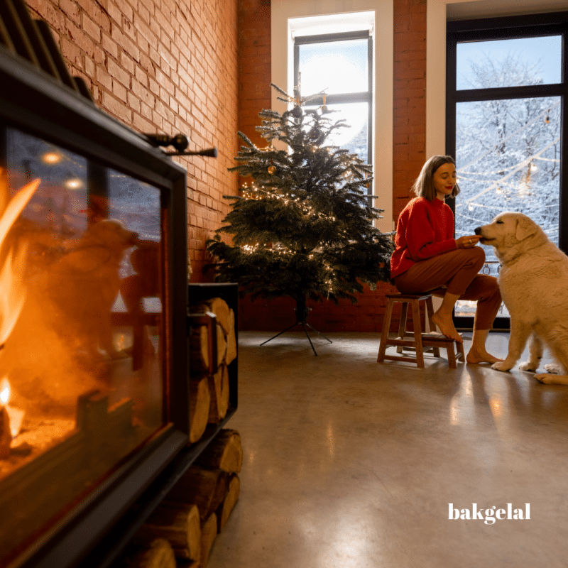 köpek güvenliği