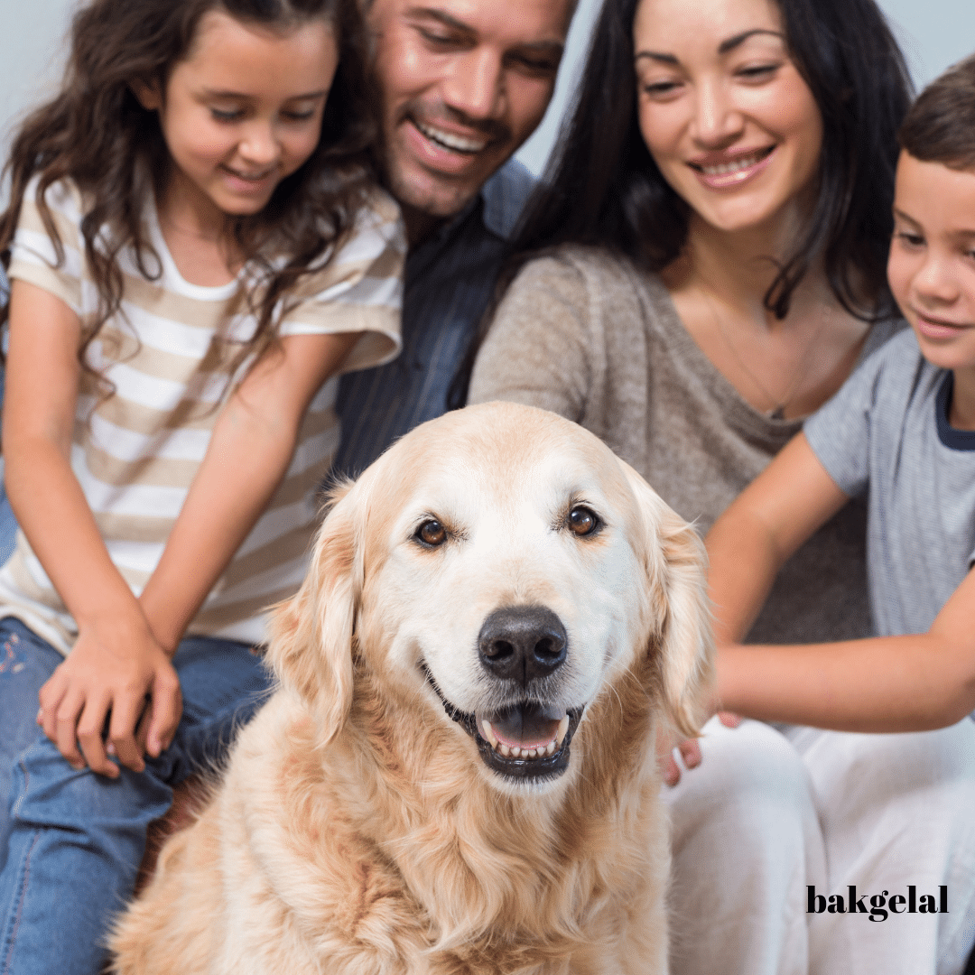 köpek ve aile