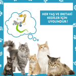 Yusufçuk Kendinden Yapışkanlı ve Ses Çıkaran Kedi Oltası 2 Metre Lastikli Elastik Kedi Oyun Oltası - Görsel 4
