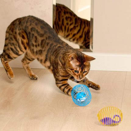fareli kedi oyuncağı