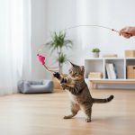 kedi balıklı zilli kedi oltası ile oynuyor