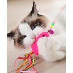 balıklı zilli kedi oltası - kedi oyun çubuğu