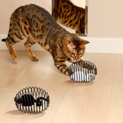 fareli kedi oyuncağı