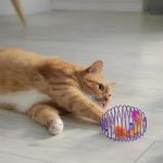 turuncu kedi fareli kedi oyuncağı ile oynuyor