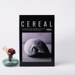 Bak Gel Al Kitap Görünümlü Dekoratif Kutu, Iskandinav Tarzı , Minimalist Saklama Kutusu - Görsel 4