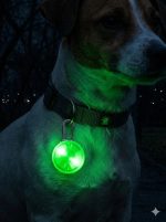 BakGelAl Klipsli LED Evcil Hayvan Güvenlik Işığı – Köpek ve Kedi Tasma Görünürlük Lambası - Görsel 6