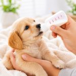 BakGelAl Yavru Kedi ve Köpek Besleme Biberonu Seti 50 ml | 2 Silikon Emzik + Temizleme Fırçası | - Görsel 6