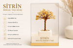 Bak Gel Al Citrina Gold™ Sitrin Doğal Taş Ağaç | El Yapımı Dekoratif Masaüstü Objesi