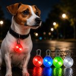 BakGelAl Klipsli LED Evcil Hayvan Güvenlik Işığı – Köpek ve Kedi Tasma Görünürlük Lambası