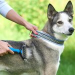 Mbois Plastik Saplı Metal Kedi Köpek Bakım Kıtık Tüy Topak Açıcı Tarak Çift Taraflı 10 cm x 17 cm - Görsel 3