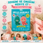 BakGelAl Hello Adorable Amigurumi Dinozor Yapım Kiti – 2 Adet Sevimli Dinozor BFF,  Türkçe Anlatımlı - Görsel 5