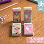 BakGelAl Studio Pets Lisanslı Silgi Kedi Köpek Desenli Çocuk Okul Kırtasiye Silgisi