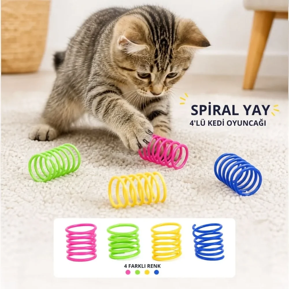 4'lü Spiral Yay Kedi Oyuncağı – Renkli Zıplayan Yay Oyuncak Seti - Görsel 2