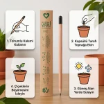 Tohumlu Kalem – Ekilebilir Doğa Dostu Kurşun Kalem - Görsel 7