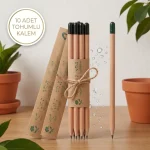 Tohumlu Kalem – Ekilebilir Doğa Dostu Kurşun Kalem - Görsel 3