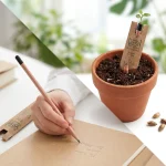 Tohumlu Kalem – Ekilebilir Doğa Dostu Kurşun Kalem - Görsel 6